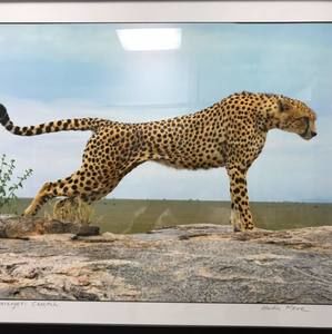 Meet your Posher, George